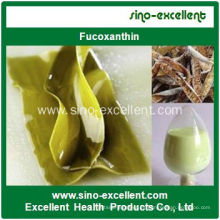 Natural Extracto de algas marinas en polvo de fucoxantina (fucoxantina)